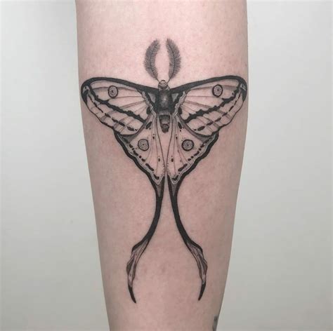 lunar moth tattoo|40 Enchanting Luna Moth Tattoo Designs To Ink